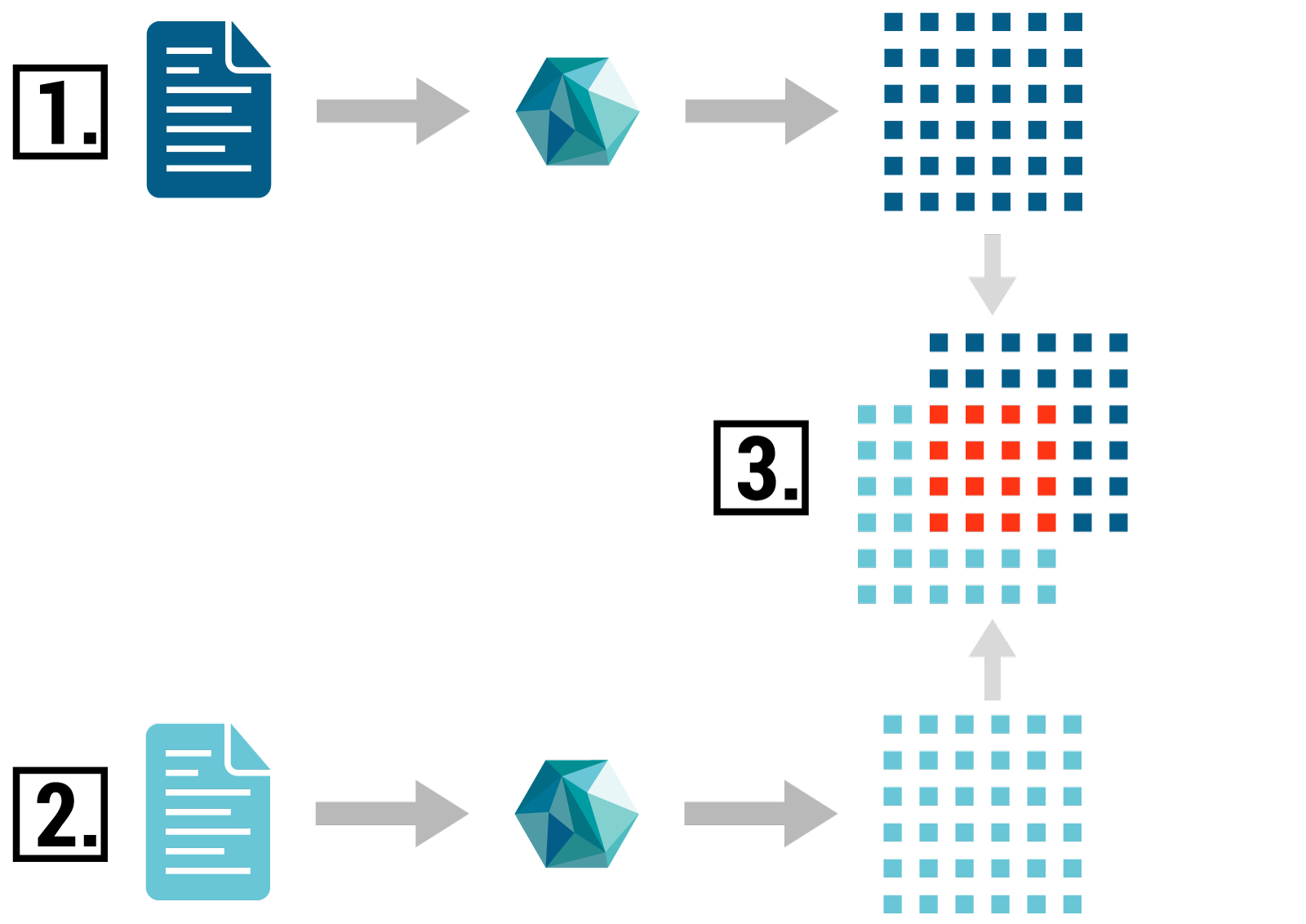 Palenio fingerprinting process